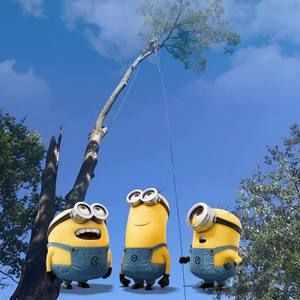 Meet your Posher, Leonardo